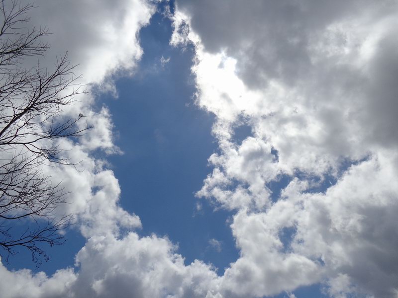 DSC00458