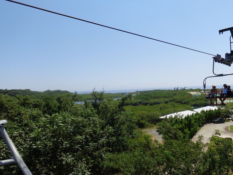 DSC00487