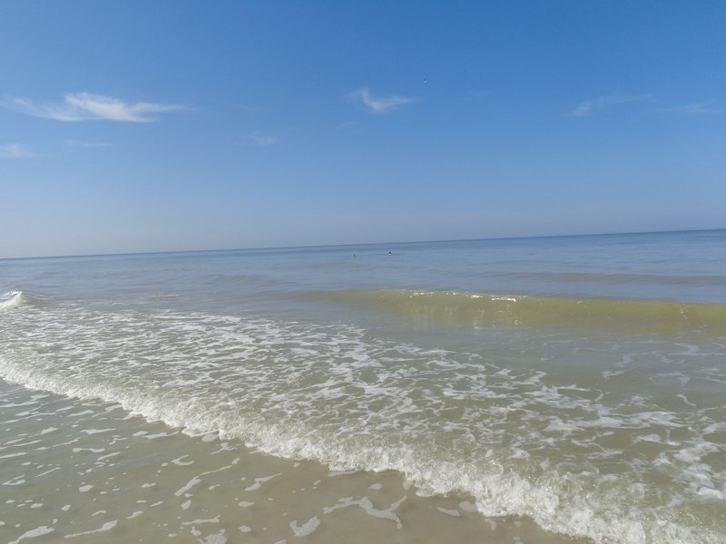 DSC00586