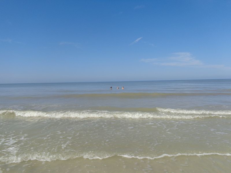 DSC00596