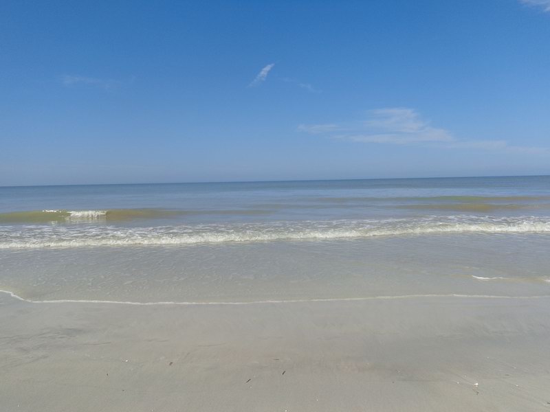 DSC00598