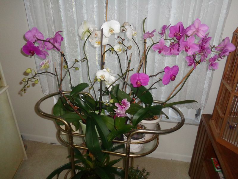 DSC00649
