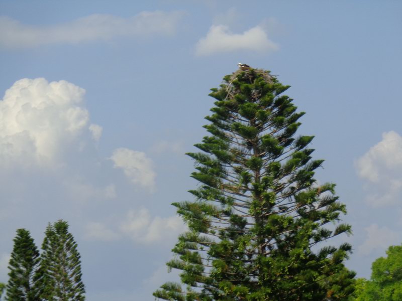 DSC00653
