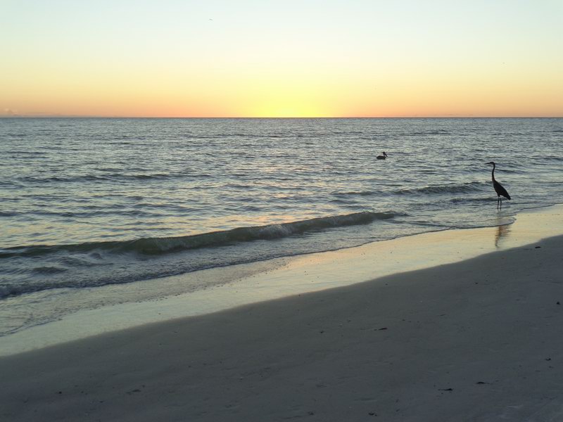 DSC00833