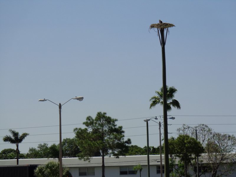 DSC07152