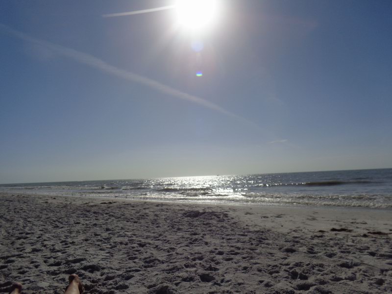 DSC07708 Ind. Shores Bch 1-1-2017
