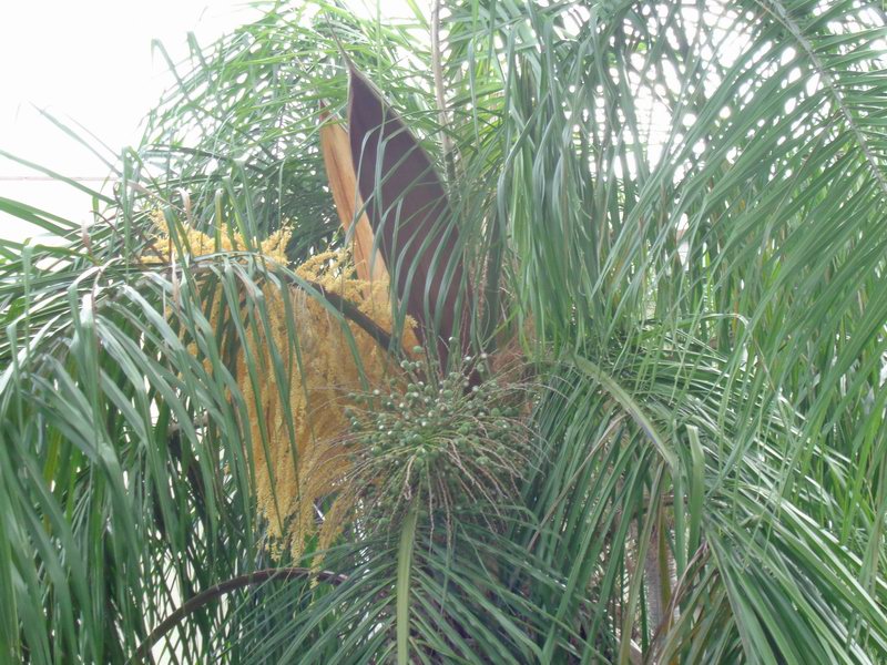 DSC08072