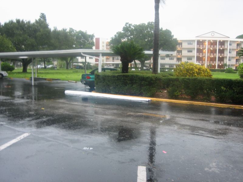 IMG 7277