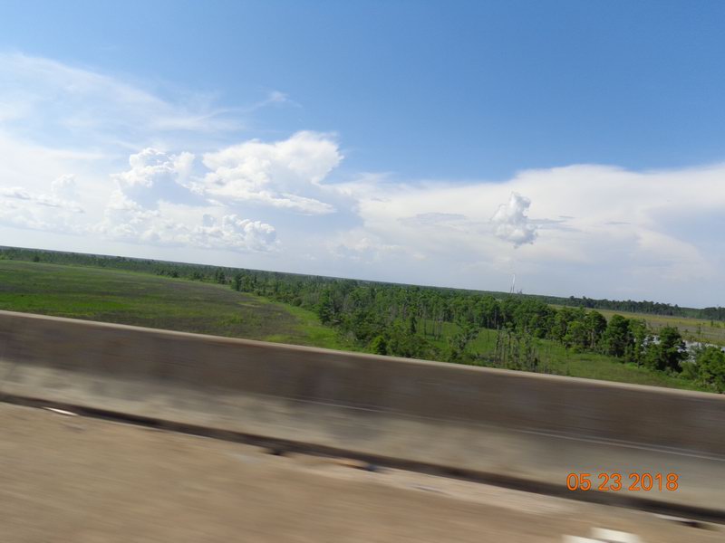 DSC08442
