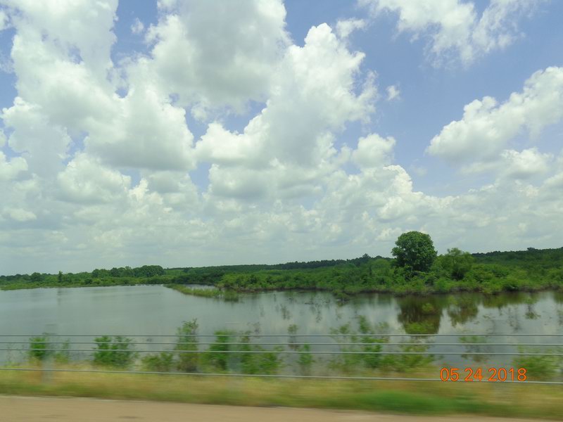 DSC08454