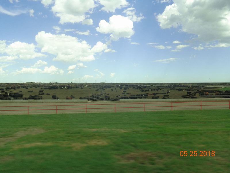 DSC08502