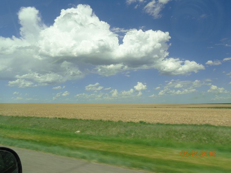 DSC08505