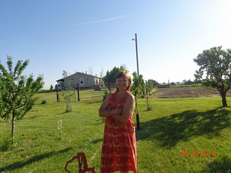 DSC08525