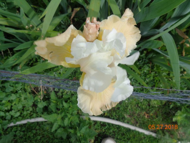 DSC08578