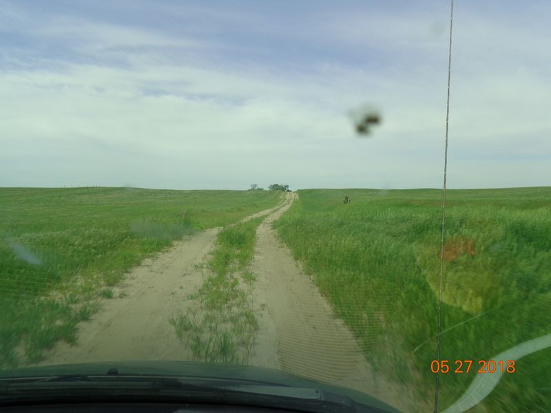 DSC08590