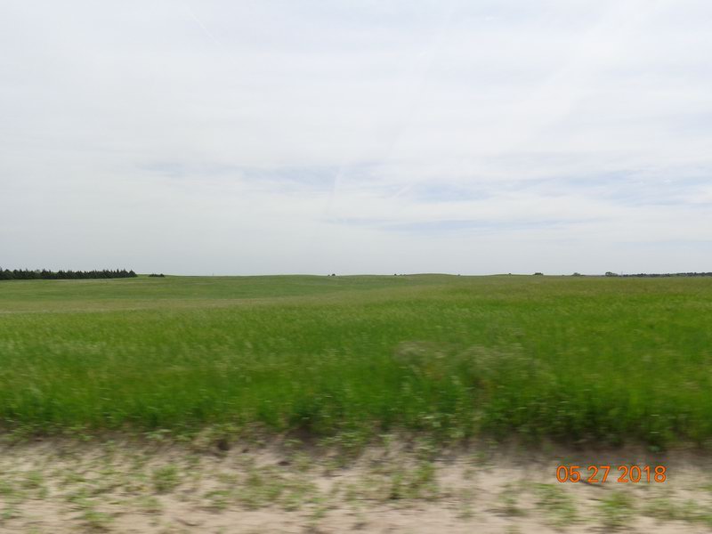 DSC08595