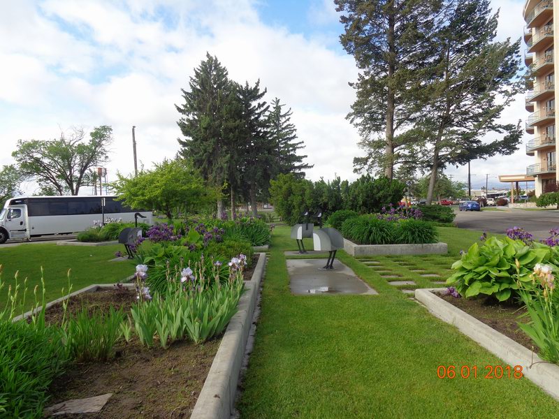 DSC08799