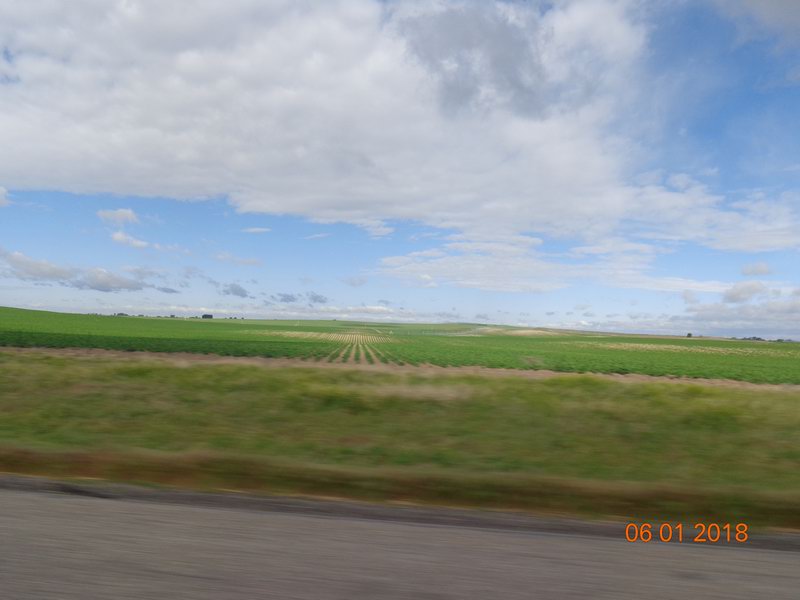 DSC08805