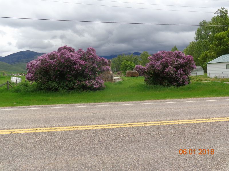 DSC08820