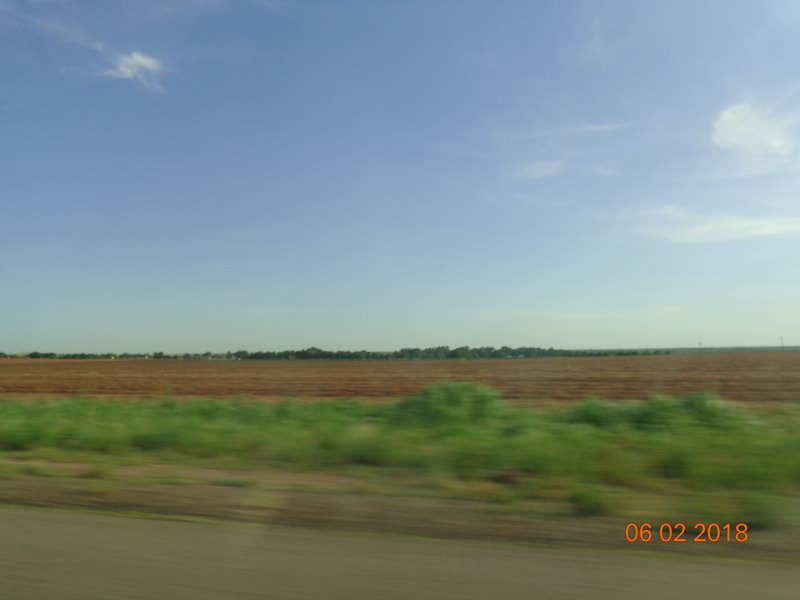 DSC08895