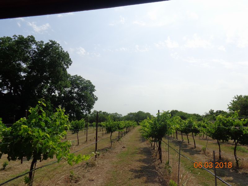 DSC08920