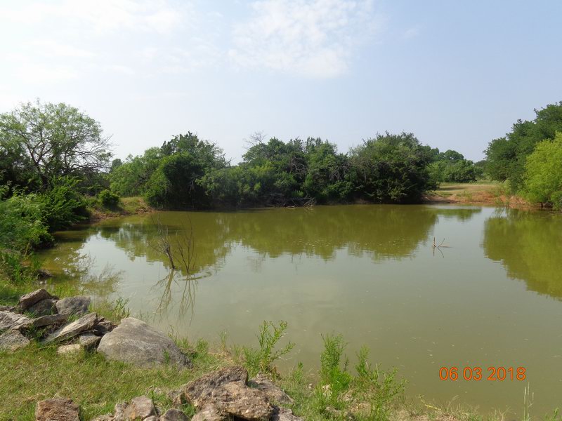DSC08921