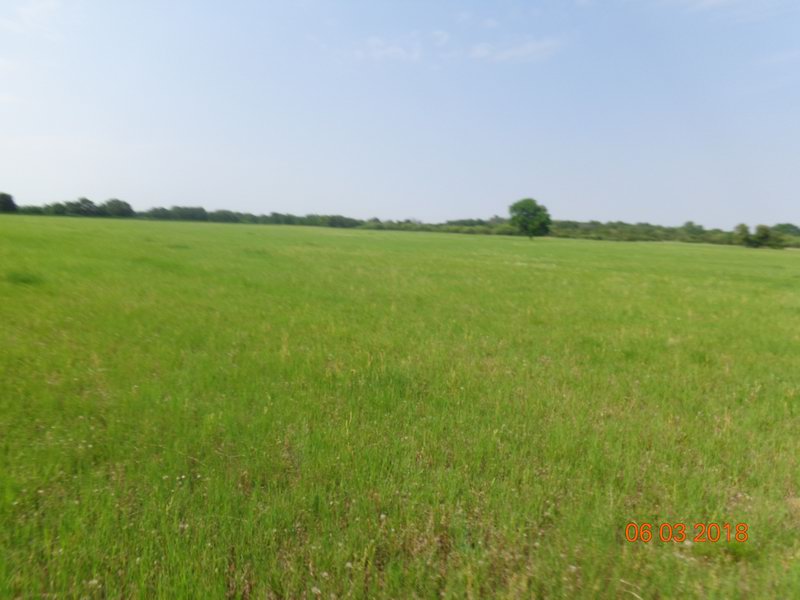 DSC08930