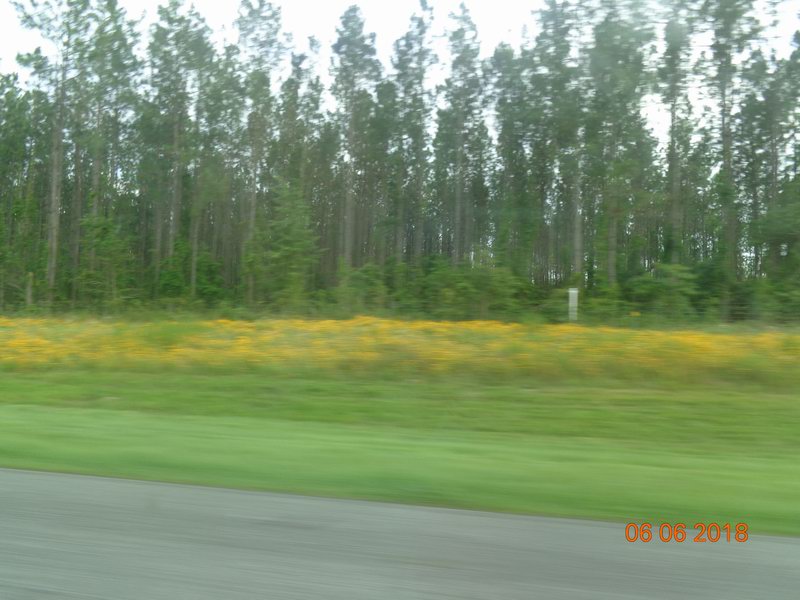 DSC09051