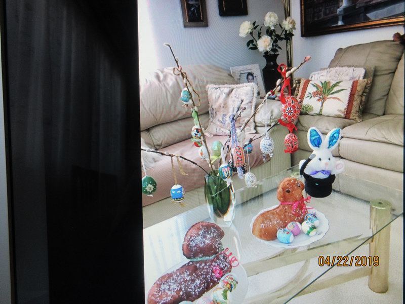 IMG 0175