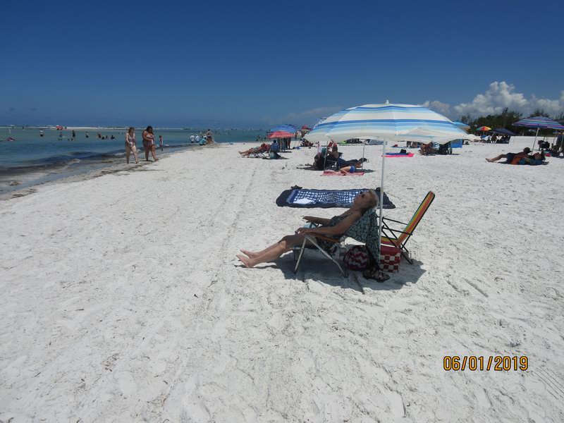 IMG 0229
