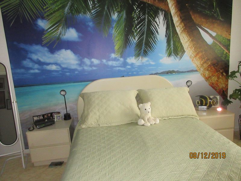IMG 0358