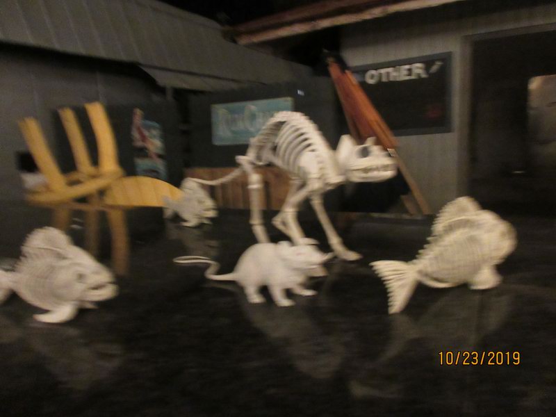 IMG 6514