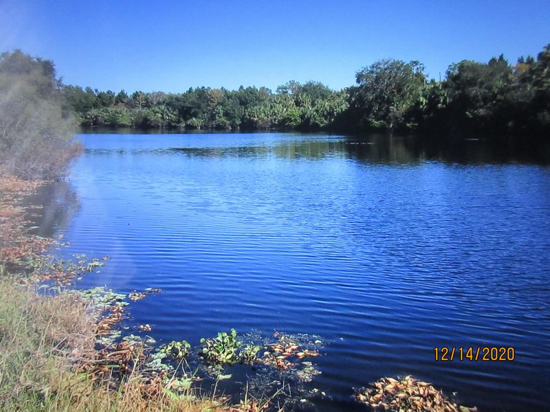 IMG 0420