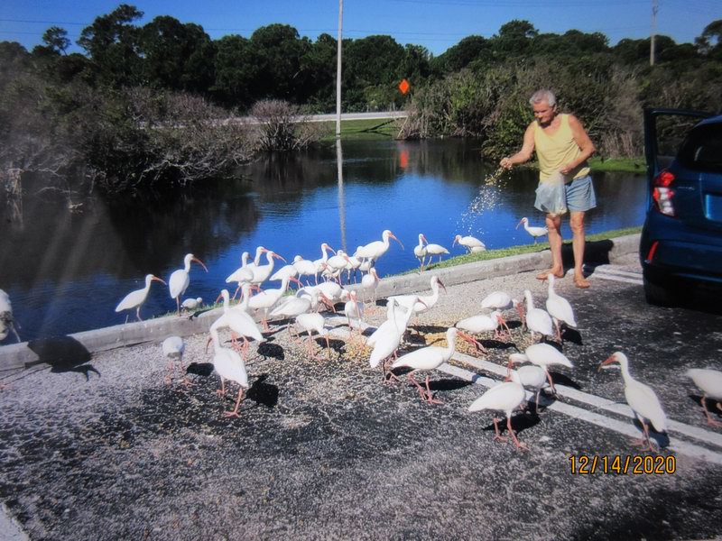 IMG 0423