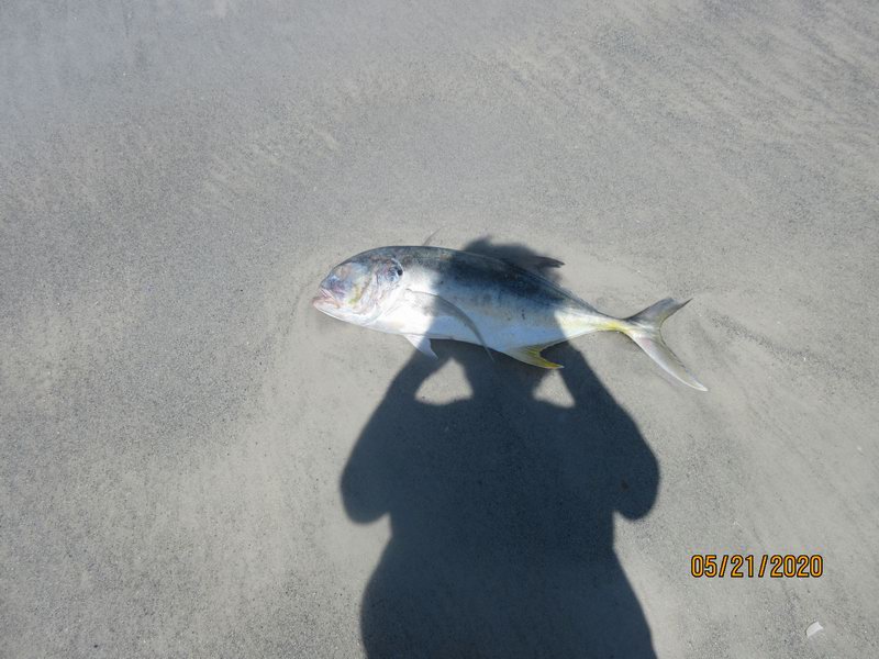 IMG 0101