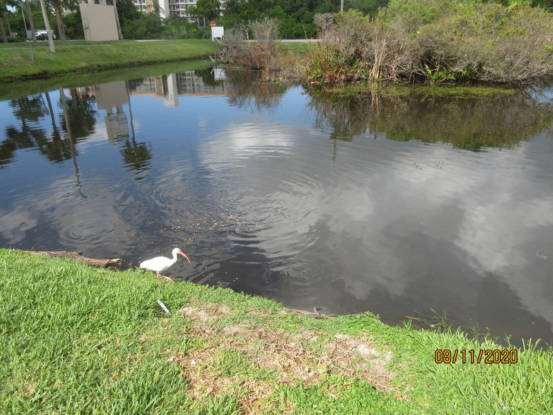 Lake Seminole Park