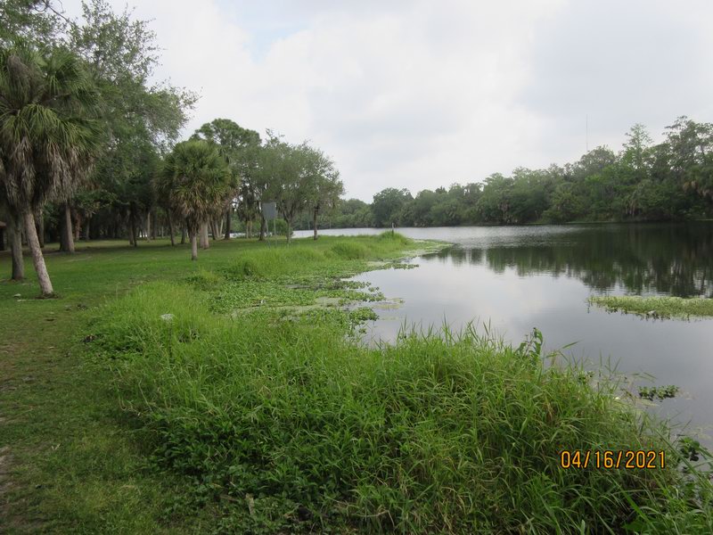 Lake Seminole Park IMG 0741