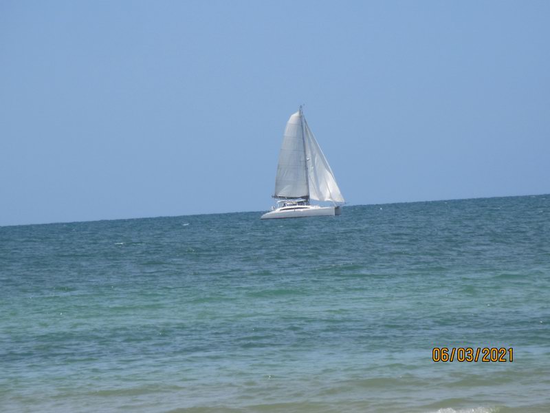 IMG 0835