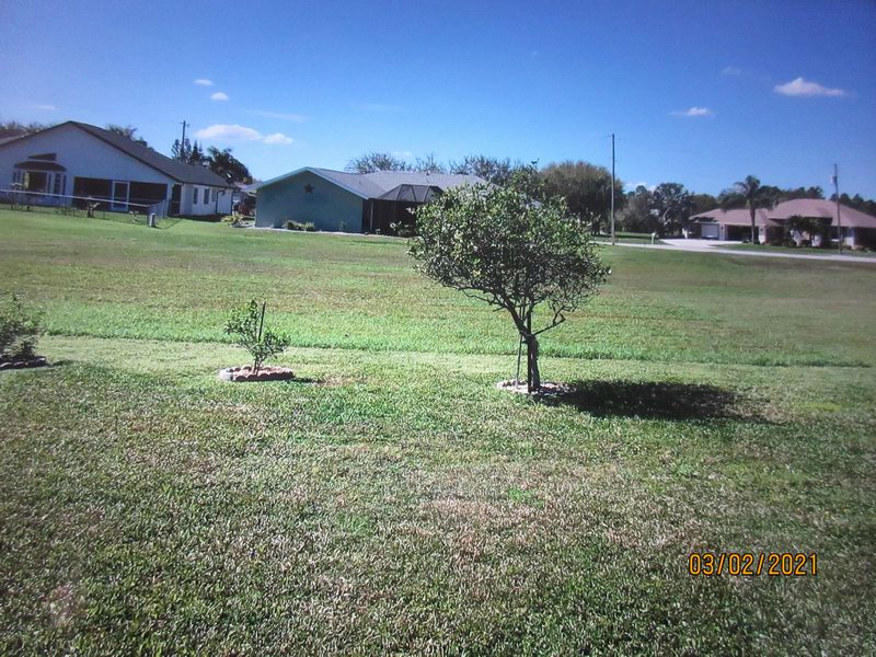 IMG 0683