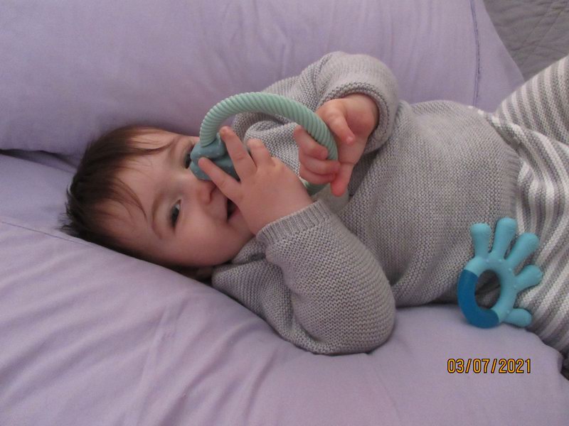 IMG 0692
