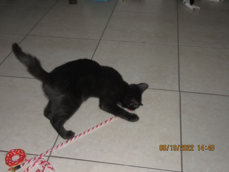 IMG 1524