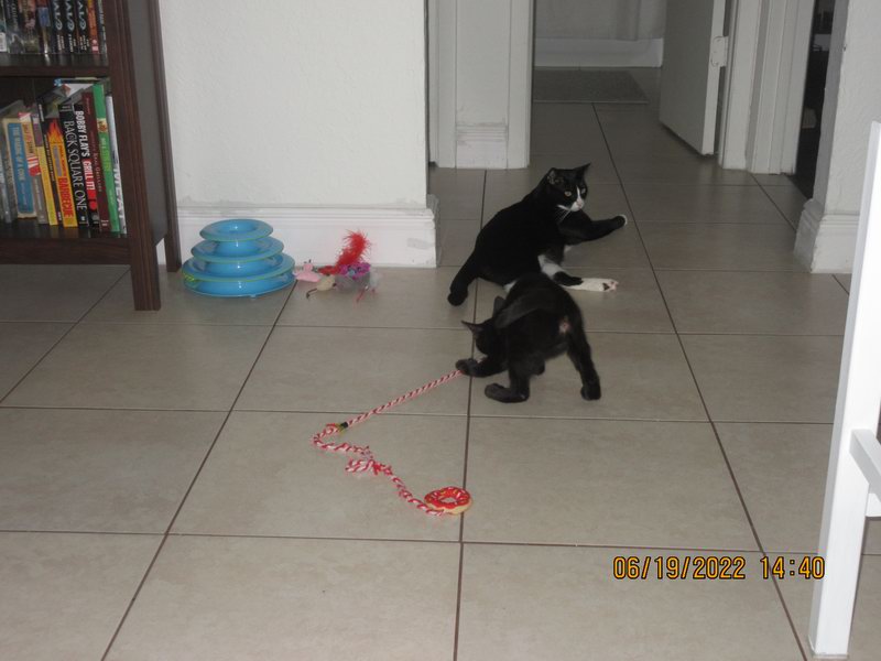 IMG 1525