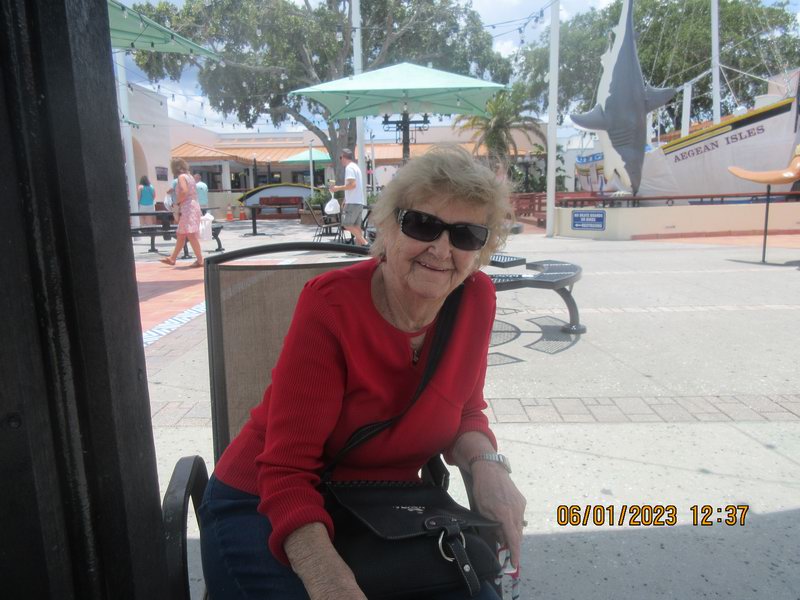 IMG 2011