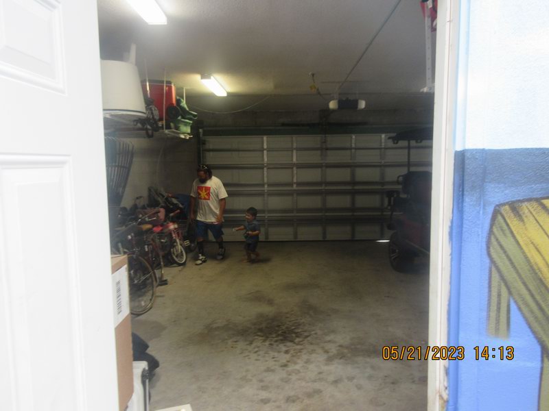 IMG 1992