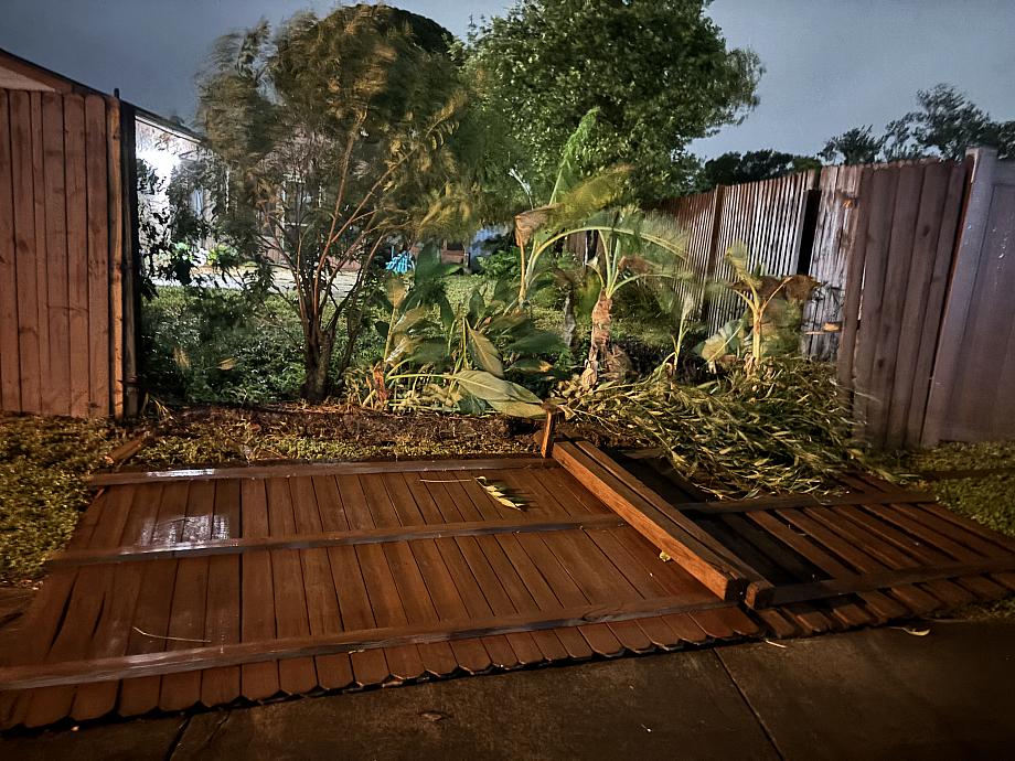 Hana's fence