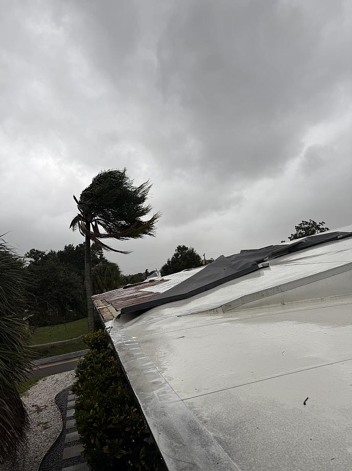 Chris' Roof
