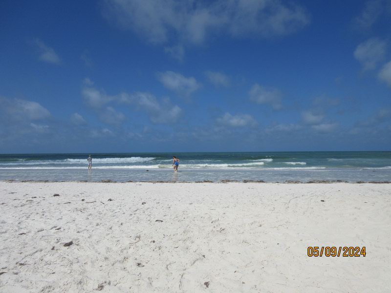 Indian Shores