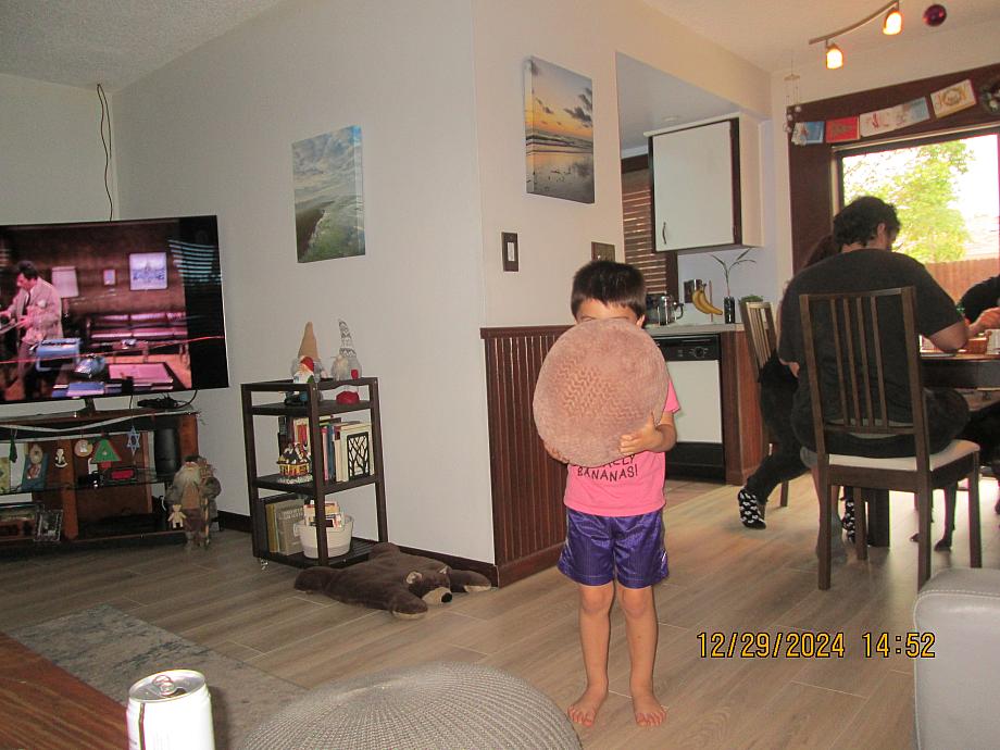 IMG 8516