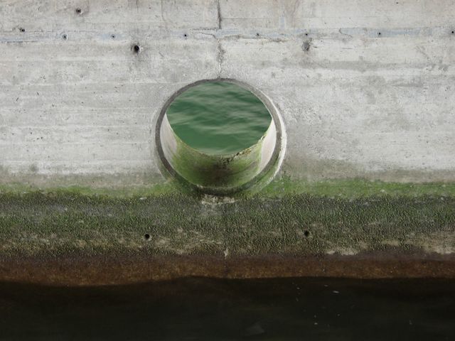 p0318594.jpg