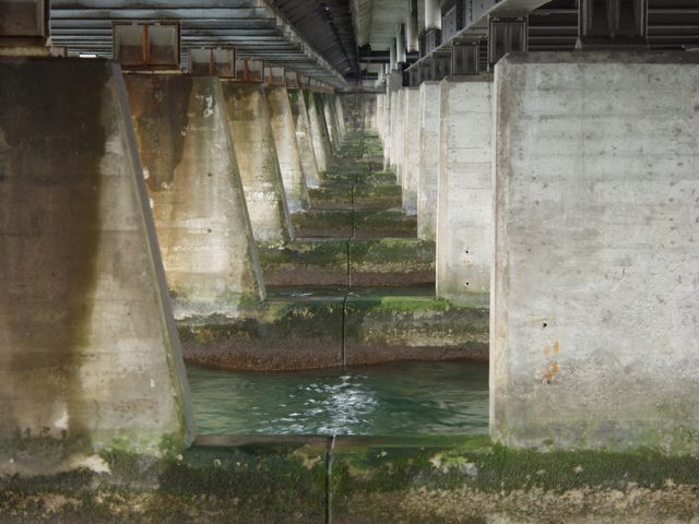 p0318631.jpg